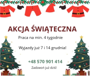Praca akcja świąteczna na 4–6 TYGODNI