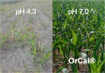 nie odkwaszanie gleby - OrCal, aktywny hydrat wapnia, od producenta