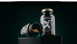 BrainMax Artichoke Extract - Na Cholesterol