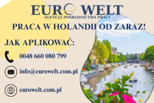 Holandia/ Pakowanie świeżych i mrożonych ryb/ także dla par