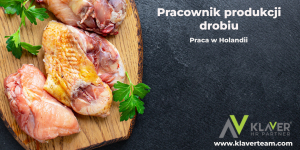 Praca za granicą- Pracownik produkcji drobiu- praca od zaraz!